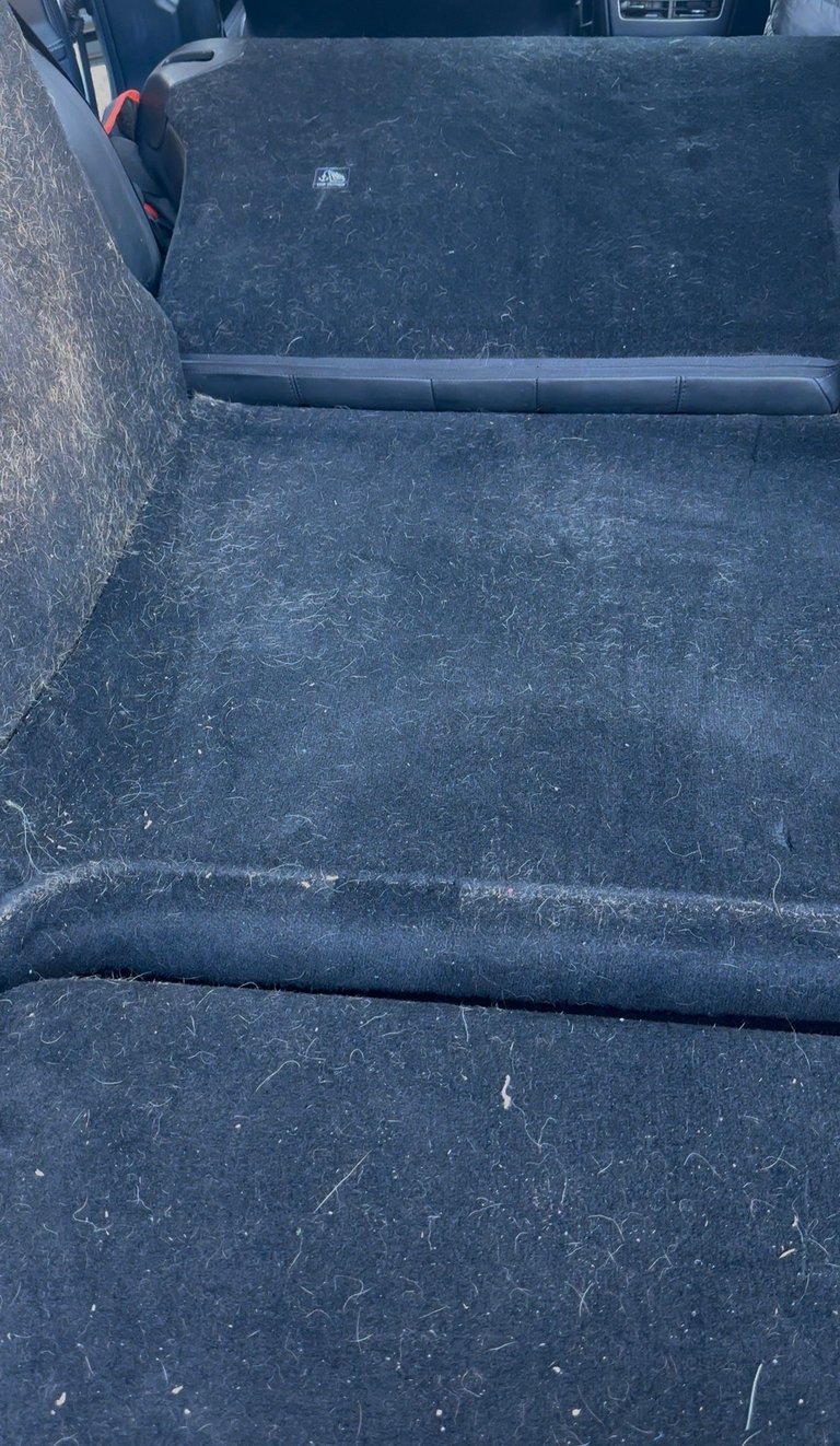 Weathered truck bed interior showing wear marks and scratches