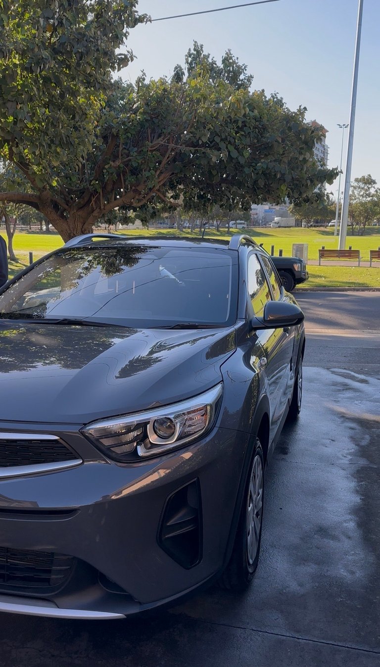 Silver SUV parked under green tree